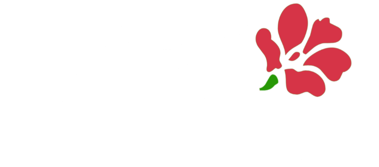 Darkpetals Logo